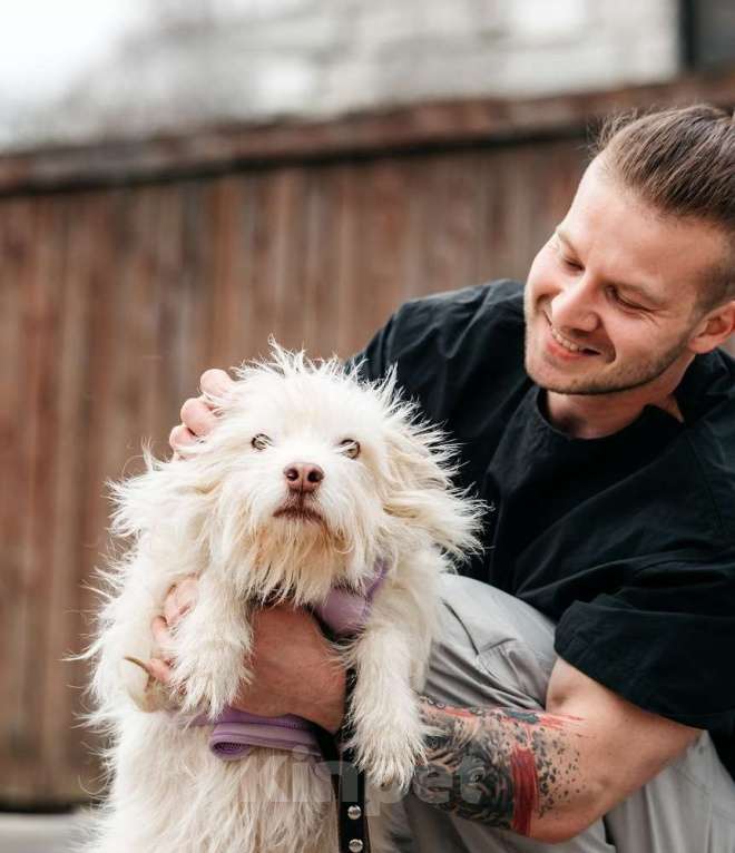 Собаки в Москве: Метис домовёнка Кузи Бандик ищет дом Мальчик, 1 руб. - фото 2
