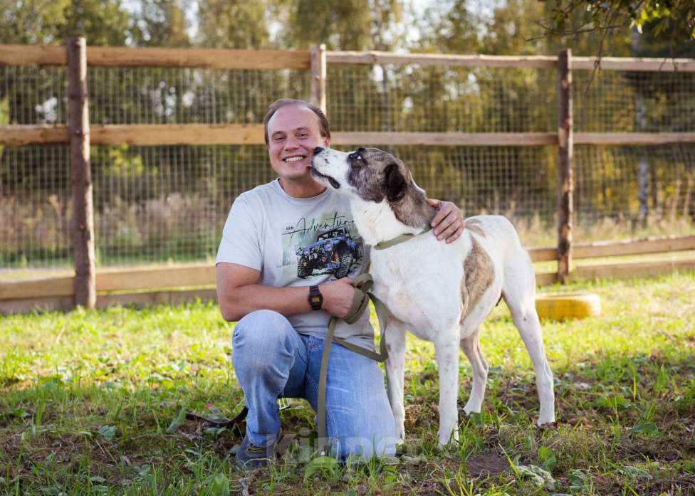Собаки в Москве: Супер-ласковый парень в добрые руки! Мальчик, Бесплатно - фото 8