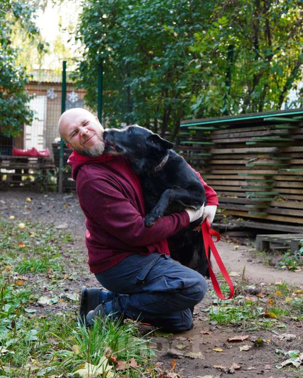 Собаки в Балашихе: Рик Мальчик, Бесплатно - фото 5