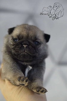 Оранжевая лента