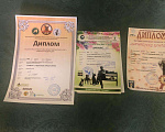 Собаки в Ростове-на-Дону: Предлагается к бронированию мальчик померанского щпица от высокопородных родителей. Мальчик, 50 000 руб. - фото 7