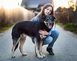 Собаки в Москве: Собака-компаньон Мальчик, Бесплатно - фото 8
