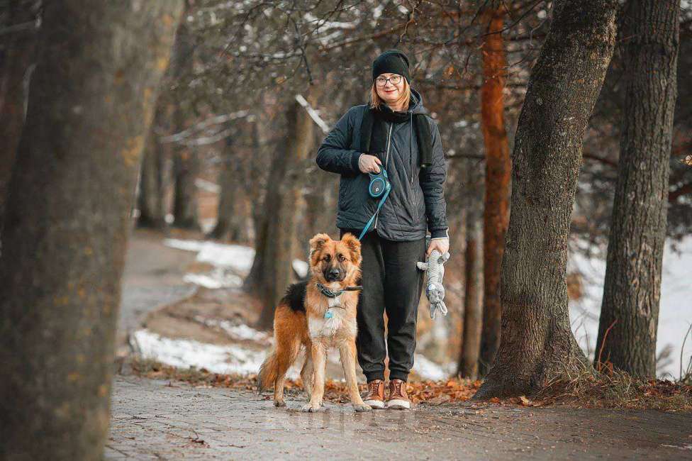 Собаки в Москве: Малыш ищет семью! Мальчик, Бесплатно - фото 5
