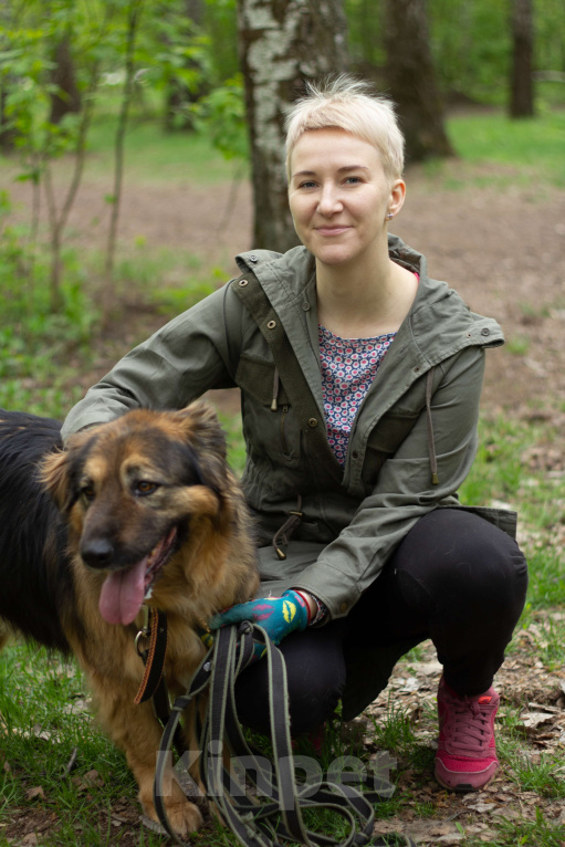 Собаки в Москве: Соня Девочка, Бесплатно - фото 5