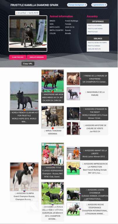 Собаки в Краснодаре: Вязка Тайсон  Мальчик, Бесплатно - фото 3