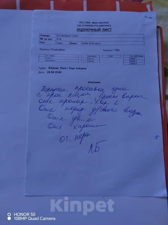 Собаки в Краснодаре: Девочки Девочка, 120 000 руб. - фото 7