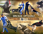 Собаки в Екатеринбурге: продаются щенки восточноевропейской овчарки Девочка, 50 000 руб. - фото 4