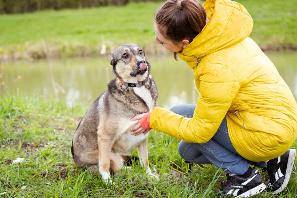 Собаки в Москве: Особенная девочка ищет дом Девочка, Бесплатно - фото 5