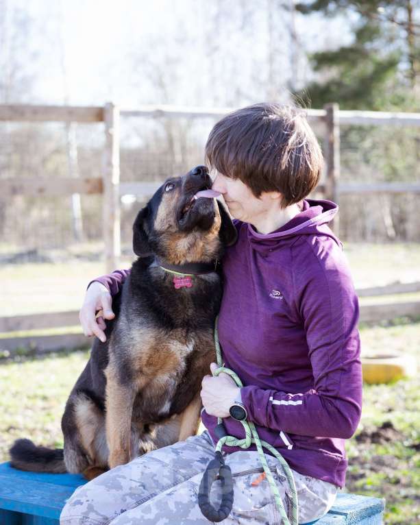 Собаки в Москве: Супер-ласковый пёс в приюте, ищет дом Мальчик, Бесплатно - фото 3