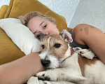 Собаки в Владивостоке: 🐾 В добрые, ответственные руки: пес-компаньон Умка 🐾 Мальчик, Бесплатно - фото 3