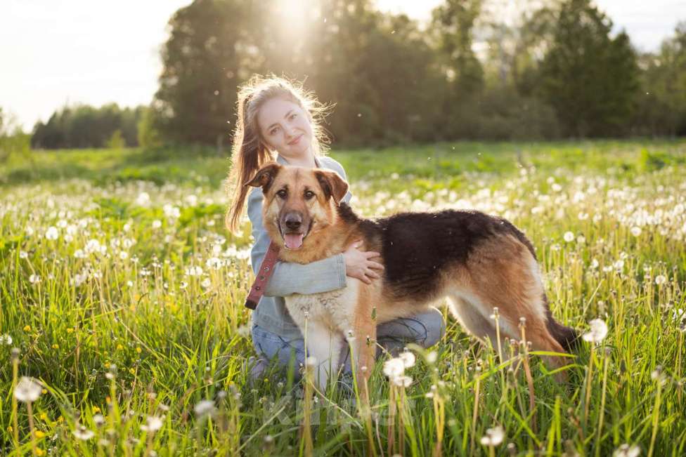 Собаки в Москве: Метис в добрые руки! Девочка, очень умная Девочка, Бесплатно - фото 9