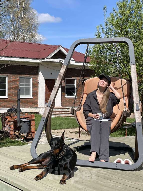 Собаки в других городах Московской области: Смоки ищет семью! Мальчик, Бесплатно - фото 3