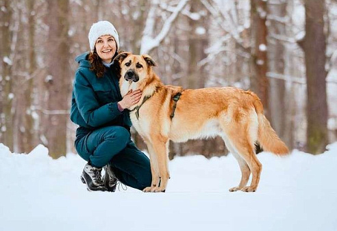 Собака бесплатно Москва