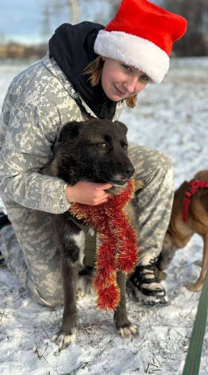 Собаки в Москве: Келли Девочка, Бесплатно - фото 6