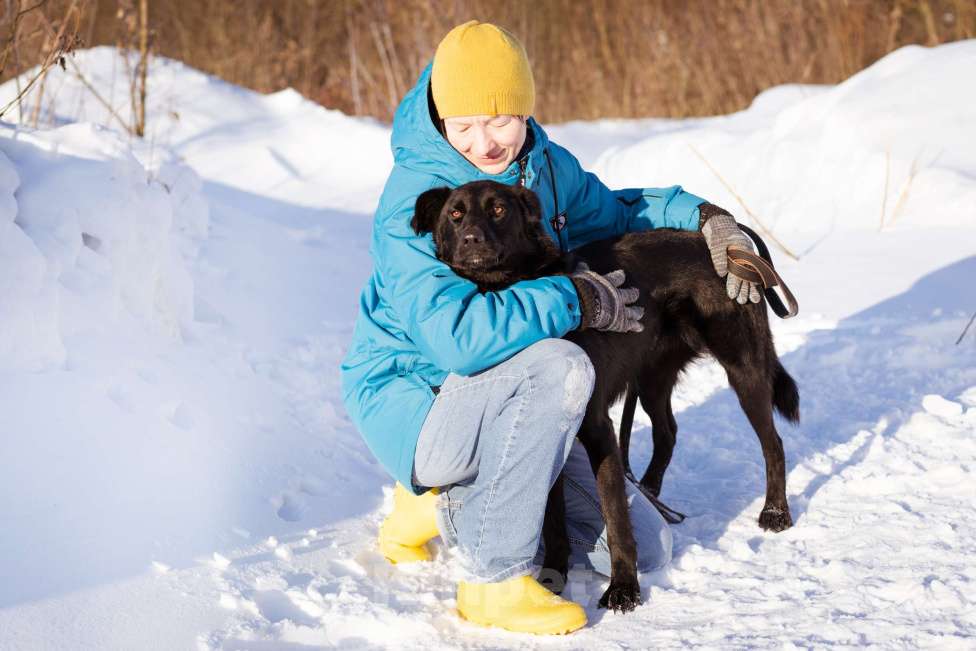 Собаки в Москве: Оникс ищет семью Мальчик, Бесплатно - фото 5