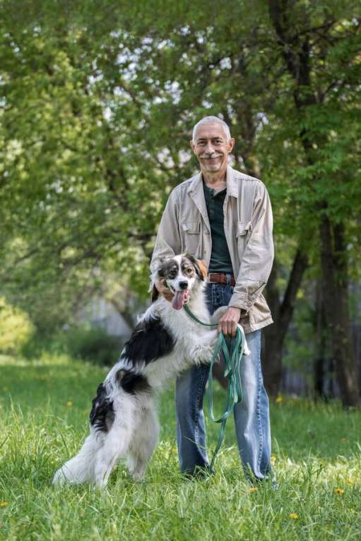 Собаки в Москве: Знакомьтесь – наш замечательный пёс Левушка, который мечтает о любящей семье! Мальчик, Бесплатно - фото 7