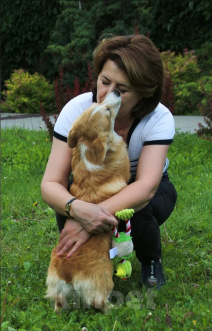 Собаки в Чапаевске: Девочка Эстель Руж Девочка, 50 000 руб. - фото 4