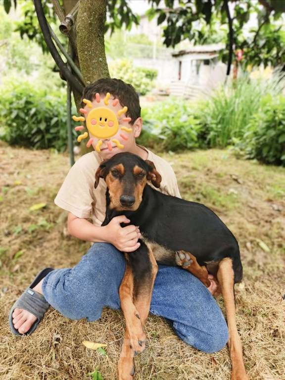 Собаки в Москве: Чудесная Тесла из Абхазии  Девочка, Бесплатно - фото 4