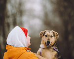 Собаки в Москве: Собака в добрые руки Девочка, Бесплатно - фото 2