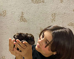 Собаки в Междуреченске: Малыши ищут хозяев  Мальчик, 10 000 руб. - фото 1