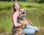 Собаки в Солнечногорске: Умненькая девочка в добрые руки Девочка, Бесплатно - фото 9