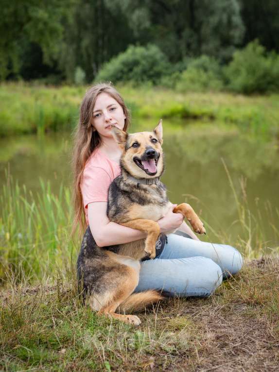 Собаки в Солнечногорске: Умненькая девочка в добрые руки Девочка, Бесплатно - фото 9