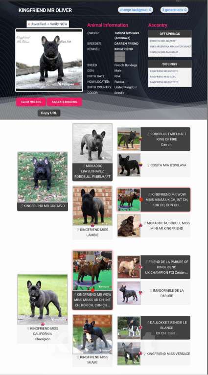 Собаки в Краснодаре: Вязка Тайсон  Мальчик, Бесплатно - фото 2