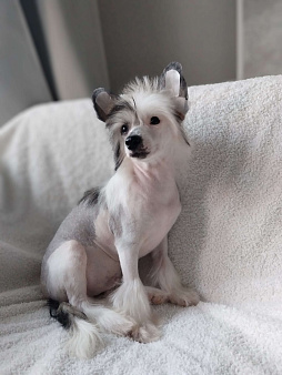 Голый мальчик