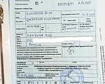 Собаки в Санкт-Петербурге: Шоколадного окраса чихуахуа Мальчик, 70 000 руб. - фото 6