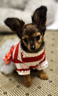 Принцесса Амелия