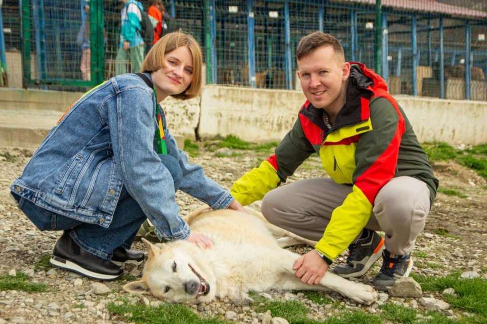 Собаки в других городах Краснодарского края: Метис Пхунсан по версии Яндекс в дар возможна доставка Мальчик, Бесплатно - фото 6