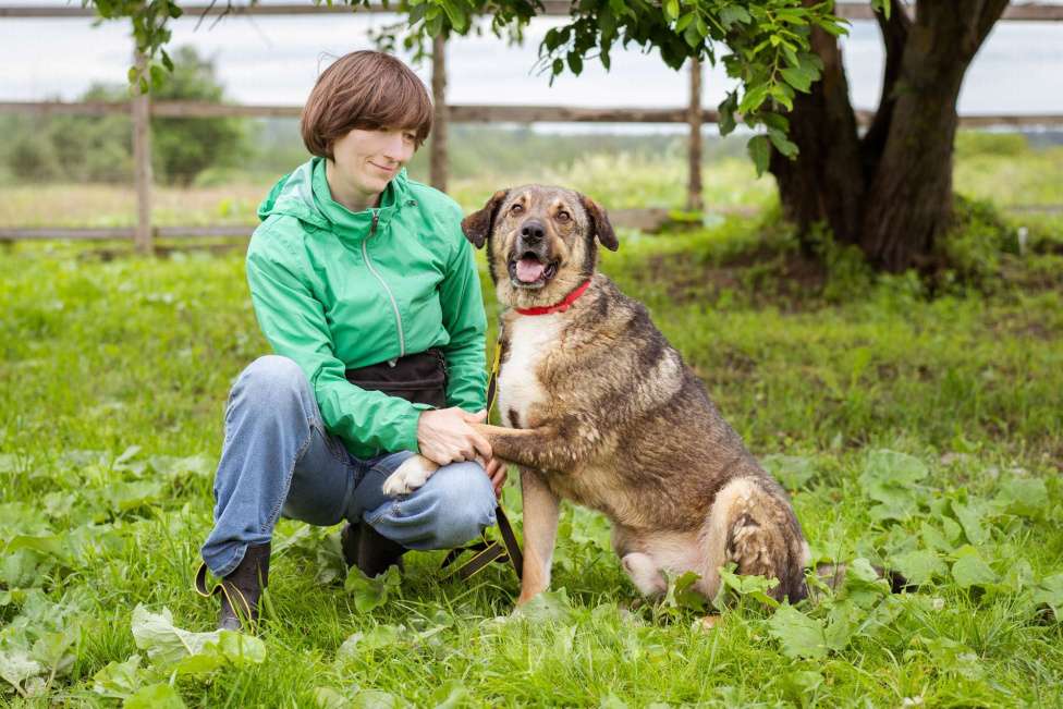 Собаки в Москве: Спокойный, миролюбивый мальчик ищет семью. Собака-компаньон Мальчик, Бесплатно - фото 9