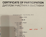 Кошки в Валдае: Шотландские котята- победители выставки Девочка, 30 000 руб. - фото 4