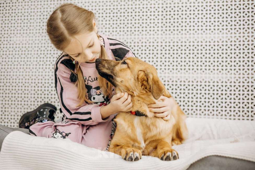 Собаки в Москве: Щенок бесплатно в Москве Девочка, Бесплатно - фото 8