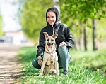 Собаки в Москве: Щенок в дар  Девочка, Бесплатно - фото 8