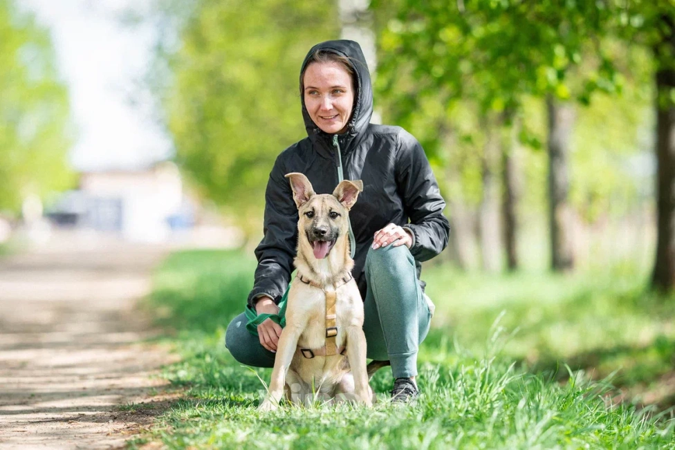 Собаки в Москве: Щенок в дар  Девочка, Бесплатно - фото 8