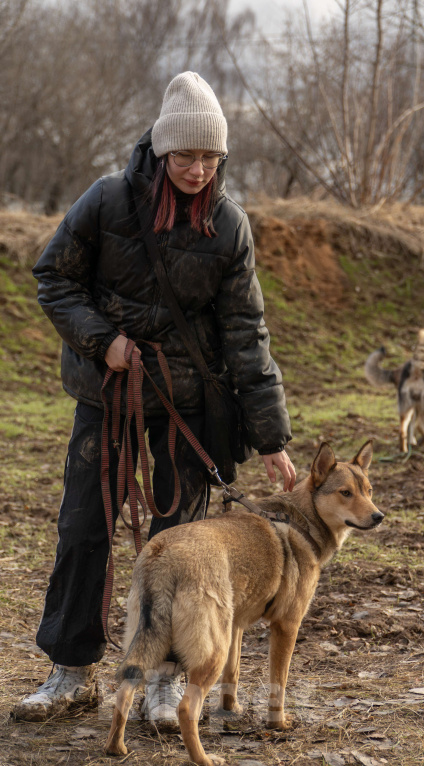 Собаки в Москве: Карамелька — обаятельная лисичка Девочка, Бесплатно - фото 7