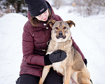 Собаки в Москве: Пёс-радость и позитив, компаньон для семьи и детей Мальчик, Бесплатно - фото 2