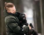 Собаки в Москве: Невероятно сообразительная и обаятельная Ева ищет дом и семью Девочка, Бесплатно - фото 9