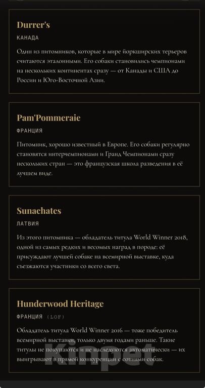 Собаки в Москве: Щенок йоркширского терьера, мальчик, РКФ, Ром Аль Капоне Мальчик, 100 000 руб. - фото 5