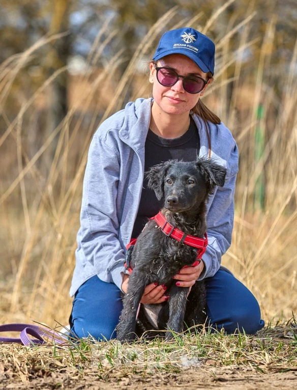 Собаки в Москве: Маленькая собака щенок в дар Девочка, Бесплатно - фото 9