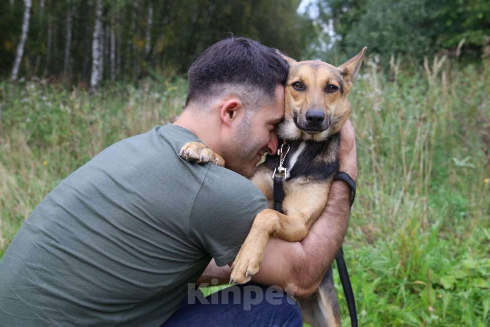 Собаки в Москве: Тиша Девочка, Бесплатно - фото 13