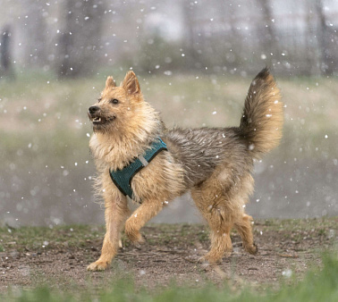 Классная Кнопка в добрые руки