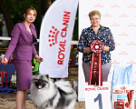 Собаки в Москве: Вязка  Мальчик, 30 000 руб. - фото 4