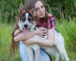 Собаки в Солнечногорске: Щенок в дар Девочка, Бесплатно - фото 5