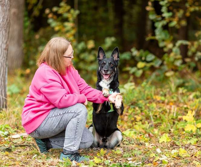 Собаки в Москве: Ампер Мальчик, Бесплатно - фото 7