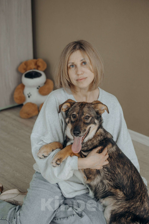 Собаки в Москве: Щенок бесплатно в Москве Девочка, Бесплатно - фото 2