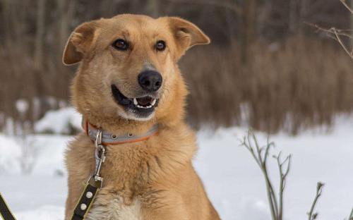 Большое и обнимательное солнышко
