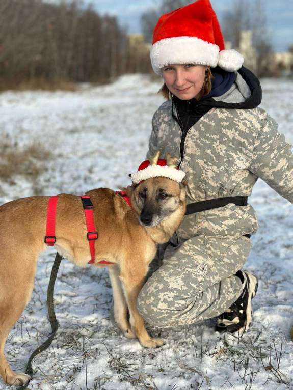 Собаки в Москве: Бемби Девочка, Бесплатно - фото 5