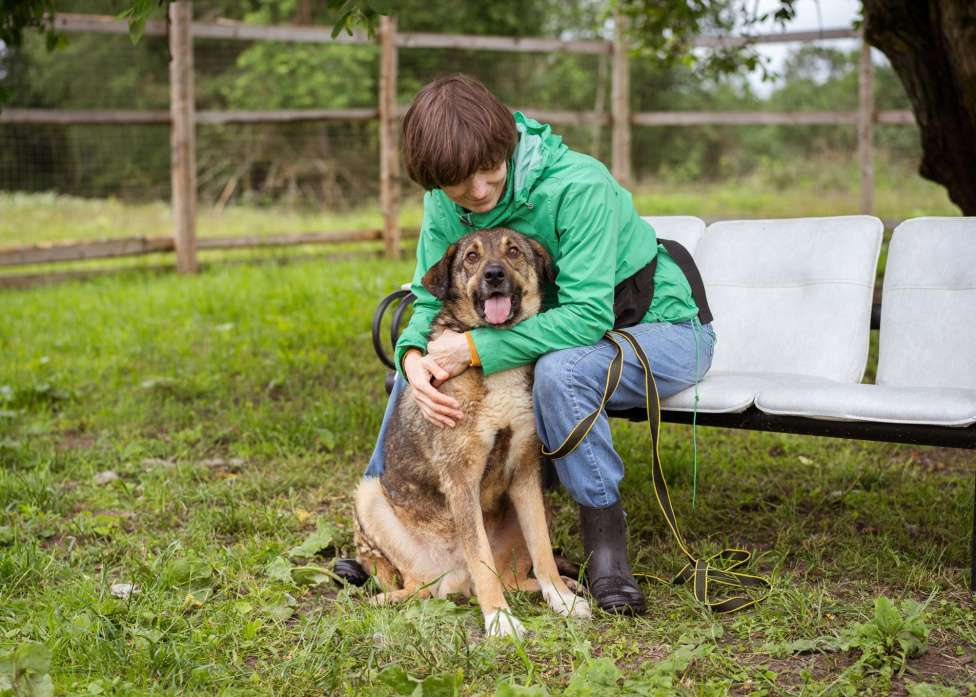 Собаки в Москве: Спокойный, миролюбивый мальчик ищет семью. Собака-компаньон Мальчик, Бесплатно - фото 7